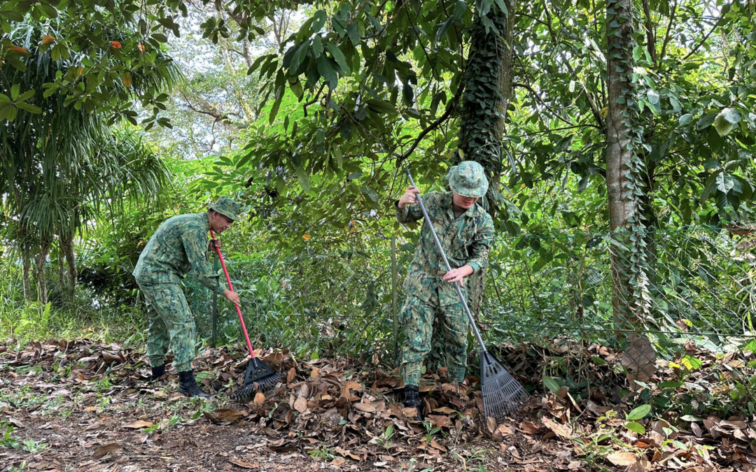 JOINT FORCE HEADQUARTERS CONDUCTED CLEANING CAMPAIGN AND RECITATION OF TAHLIL AT BOLKIAH GARRISON CEMETERY